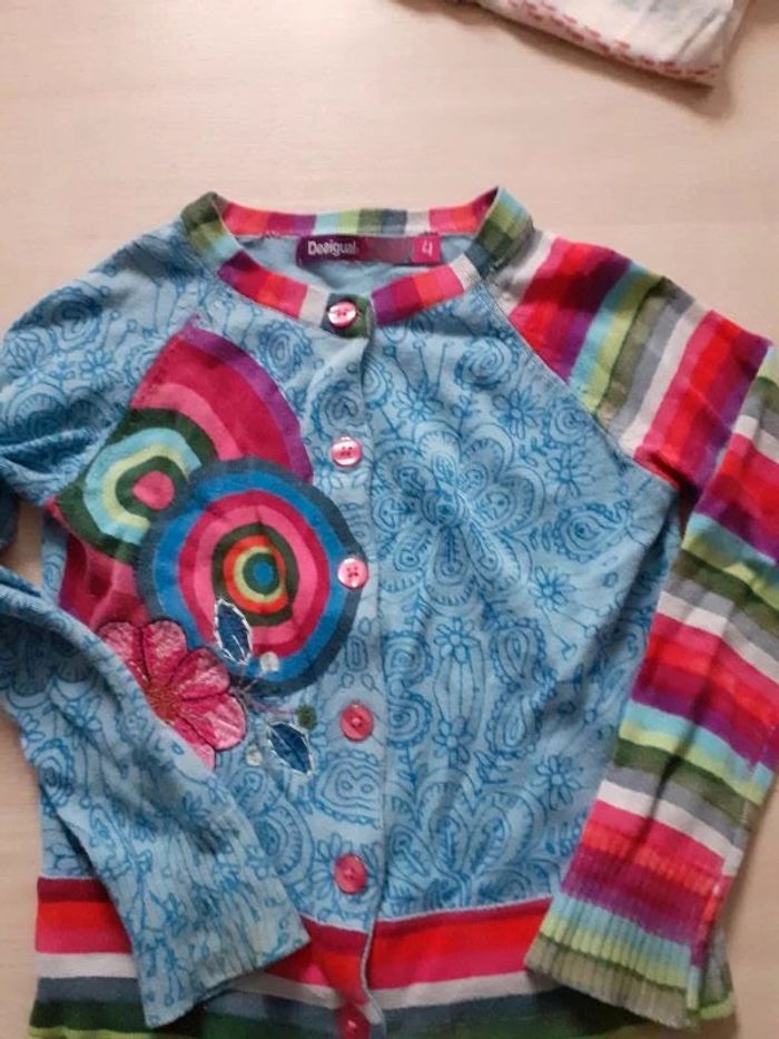 Lot gilets 4ans - photo numéro 4