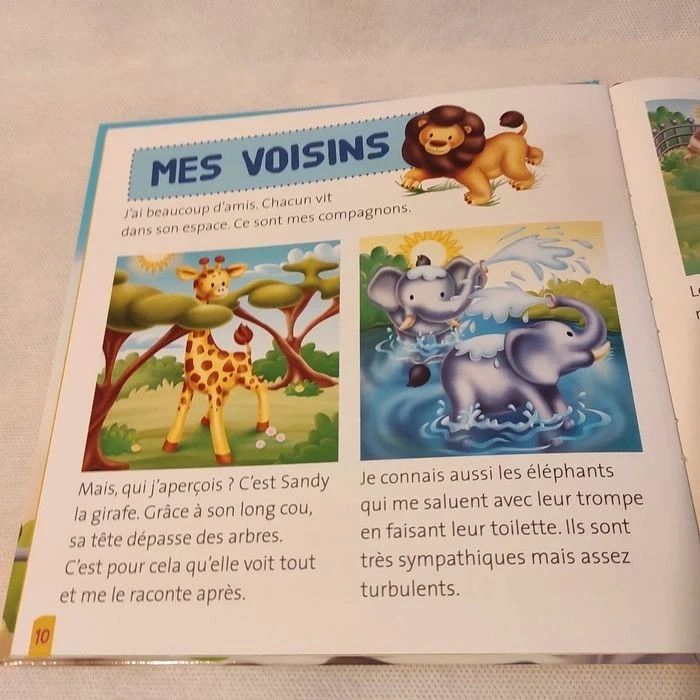 Loumba le lion + figurine - photo numéro 4