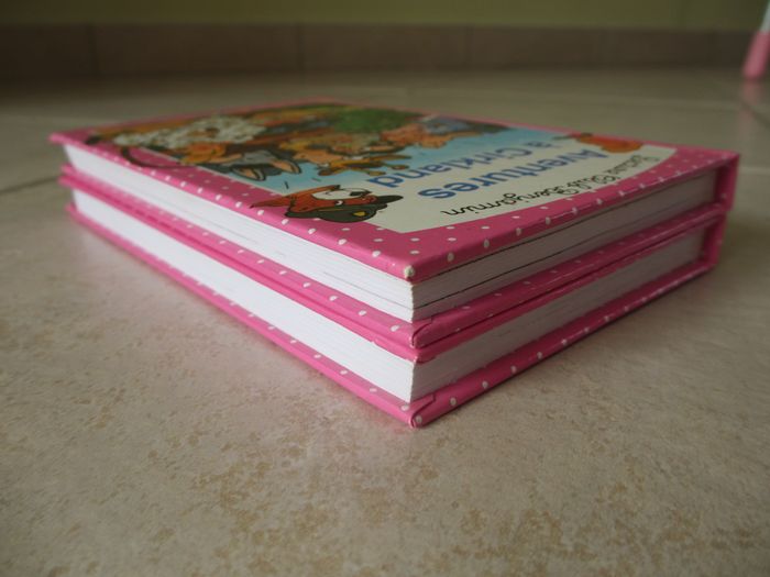 Lot de 2 livres enfant « Lolotte et l’ours magique » et « Aventures à Cirkland » - photo numéro 5