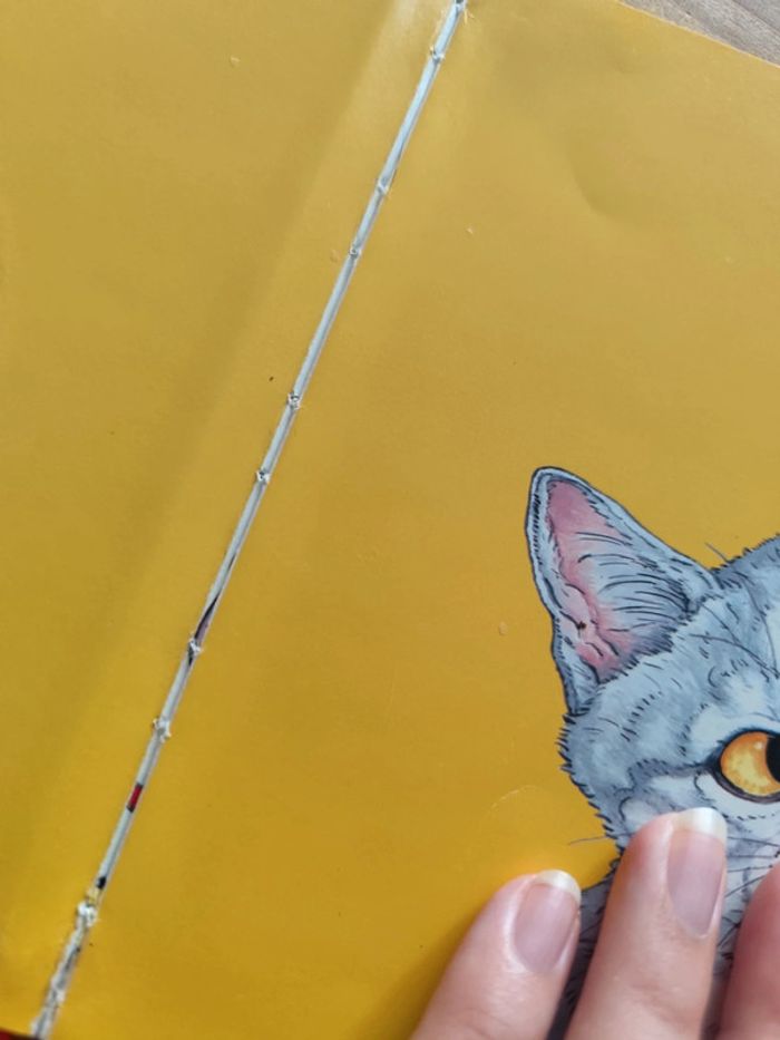 Livre chat - photo numéro 3