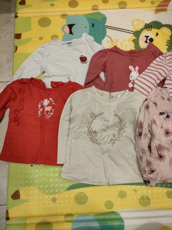 Lot manches longues 24 mois