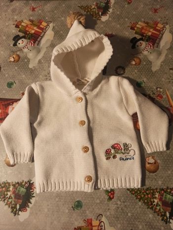 Gilet à capuche neuf
