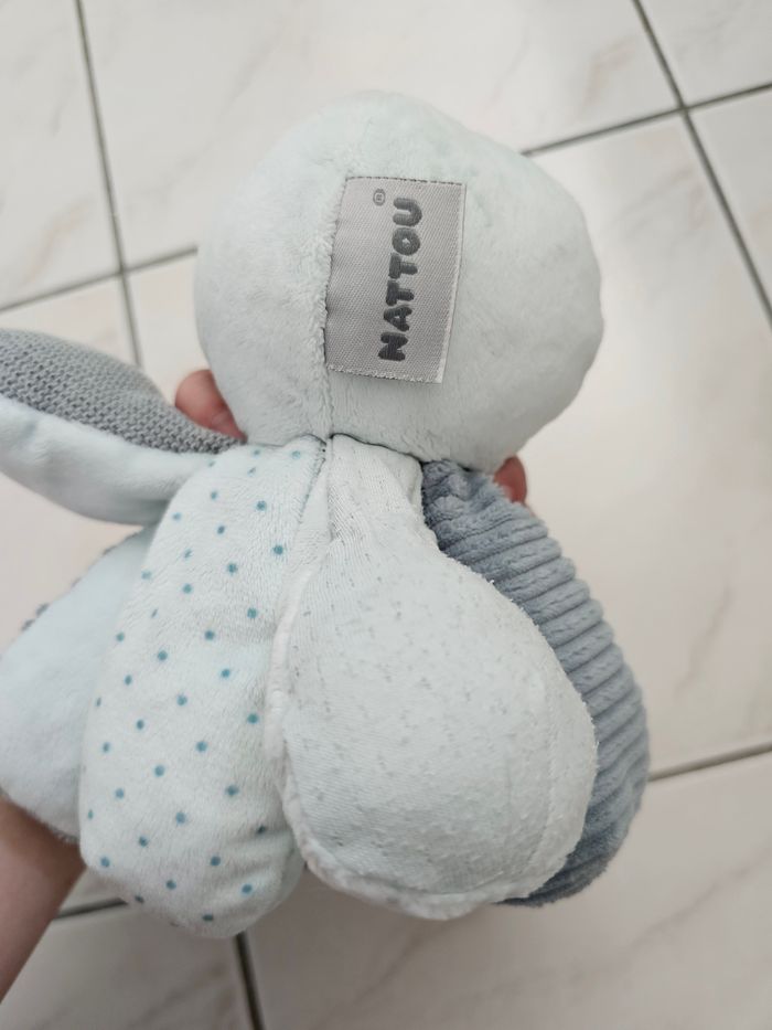 Pieuvre nattou - photo numéro 2