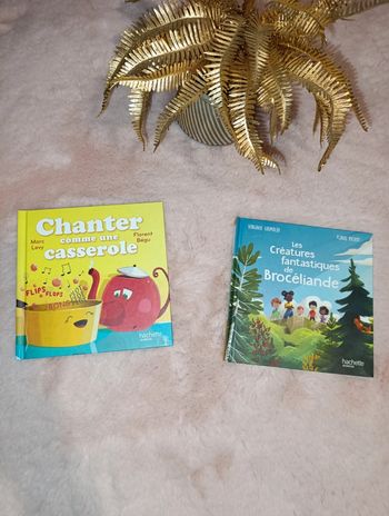 Lot livres mc do les créatures fantastiques de Brocéliande et chanter comme une casserole