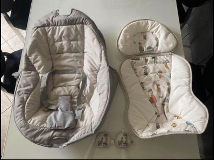 Nacelle électrique - photo numéro 4