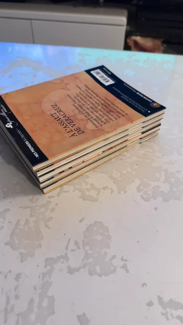 📚 Lot complet – Collection Les Frères Faucons 5 tomes – Alain Surget / Annette Marnat - photo numéro 6