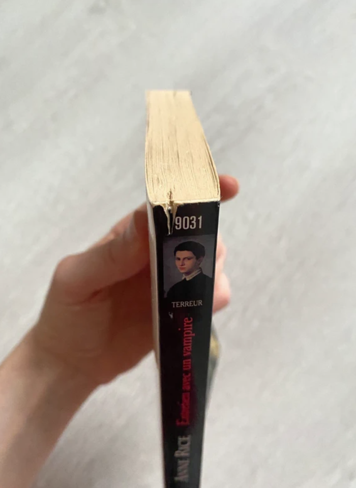 Livre Entretien avec un vampire Anne Rice - photo numéro 5