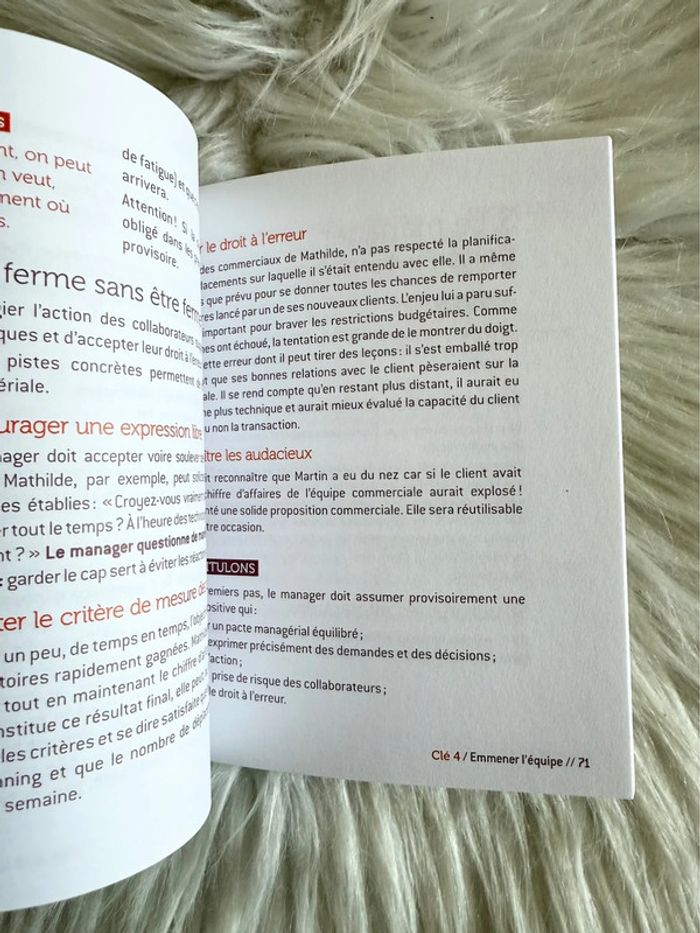 Les 5 clés pour réussir ses 1ers pas de manager – Vincent Dicecca – Dunod - photo numéro 4