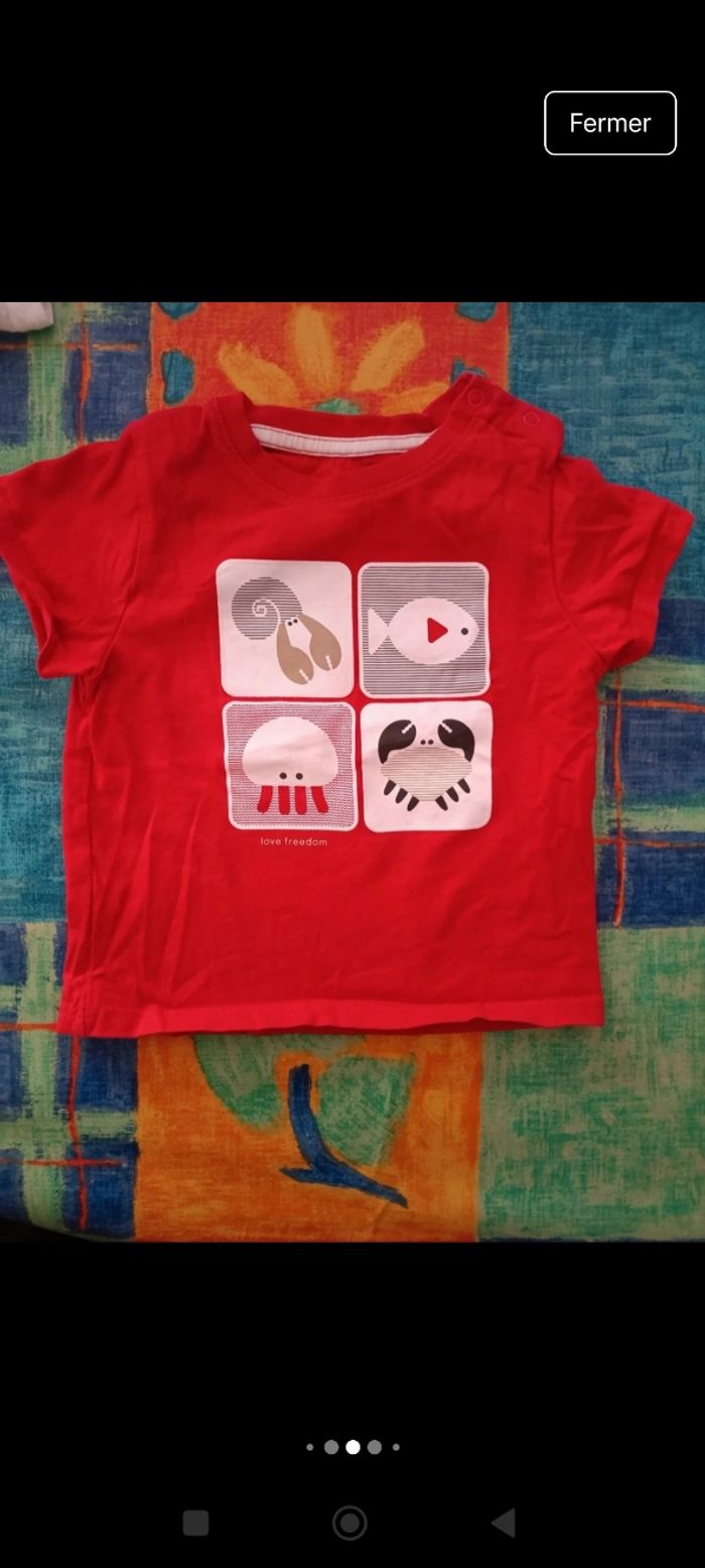 Lot Tshirt manches courtes 12 mois - photo numéro 7