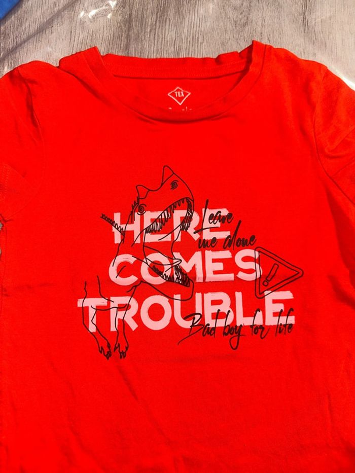 T-shirt dinosaures - photo numéro 2