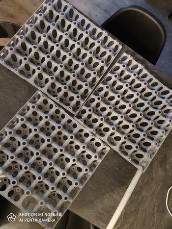 3 plateau pour 30 oeufs