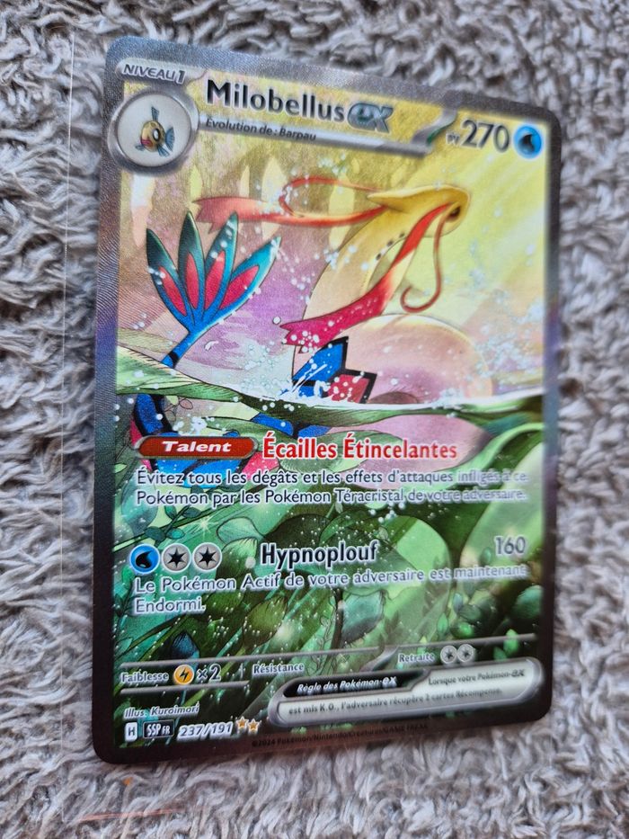 Millobelus  237 / 191 - photo numéro 5