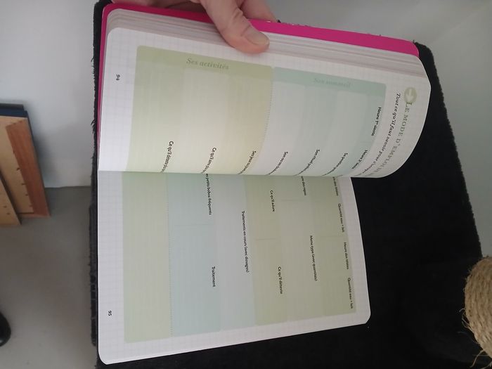 Cahier de la jeune maman - photo numéro 3