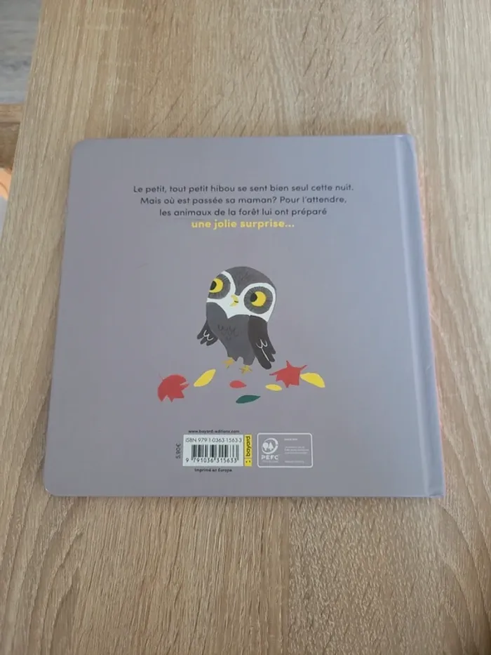 Le petit tout petit hibou - photo numéro 4