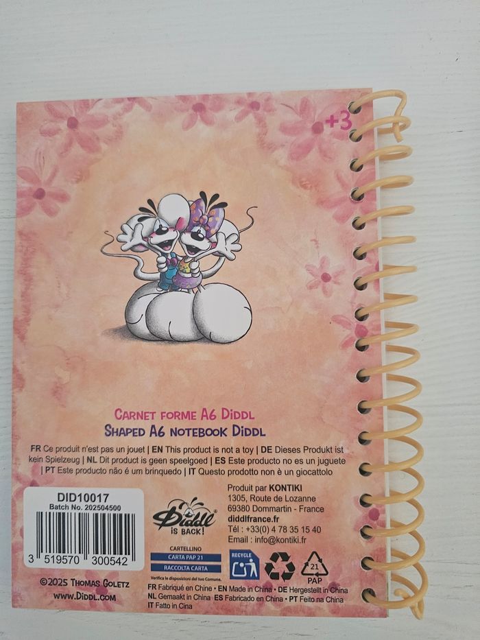 Lot de 2 carnets Diddl is Back - photo numéro 3