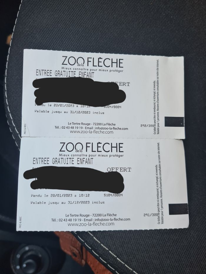 Place enfant zoo de la flèche - photo numéro 2
