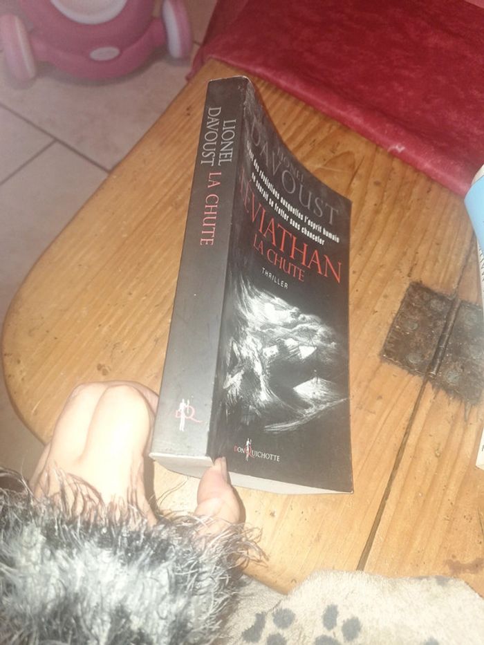 Lionel davoust - photo numéro 2