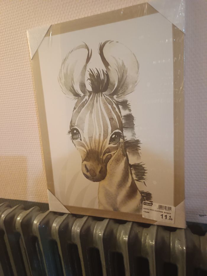 Toile imprimée 30x40cm Ane