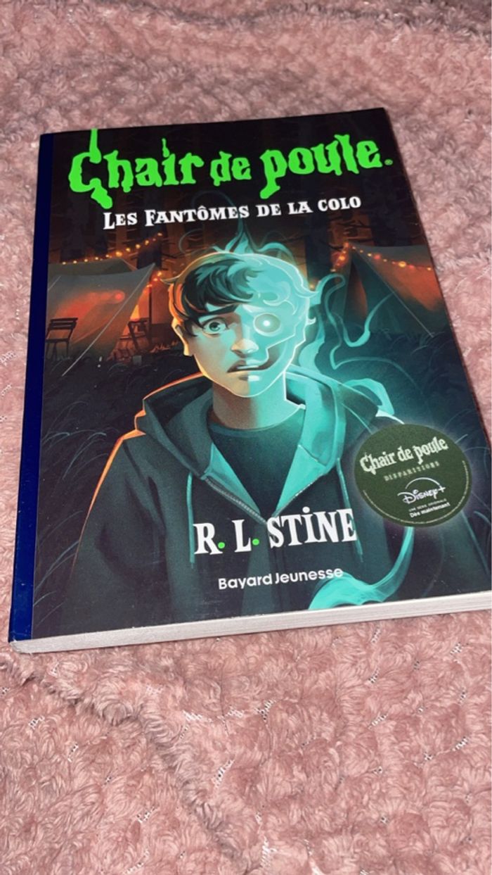 Livres chair de poules - photo numéro 3