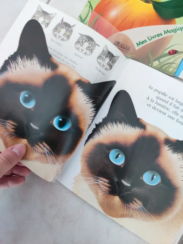 Livres pour enfants - photo numéro 3