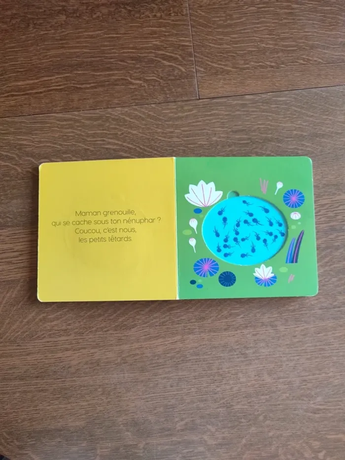 Livre qui se cache derrière maman - photo numéro 9