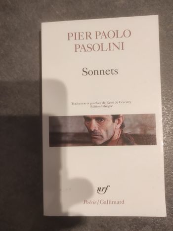 Sonnets Pier Paolo Pasolini nrf Poésie/Gallimard 2012 