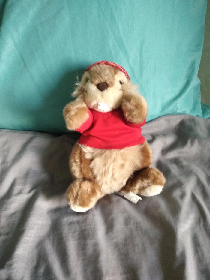 peluche marmotte à casquette