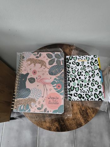 Lot de 2 notebook neuf