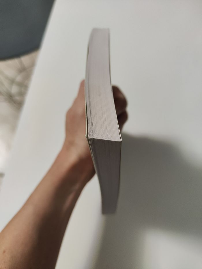 Haute saison. Adèle Bréau - photo numéro 4