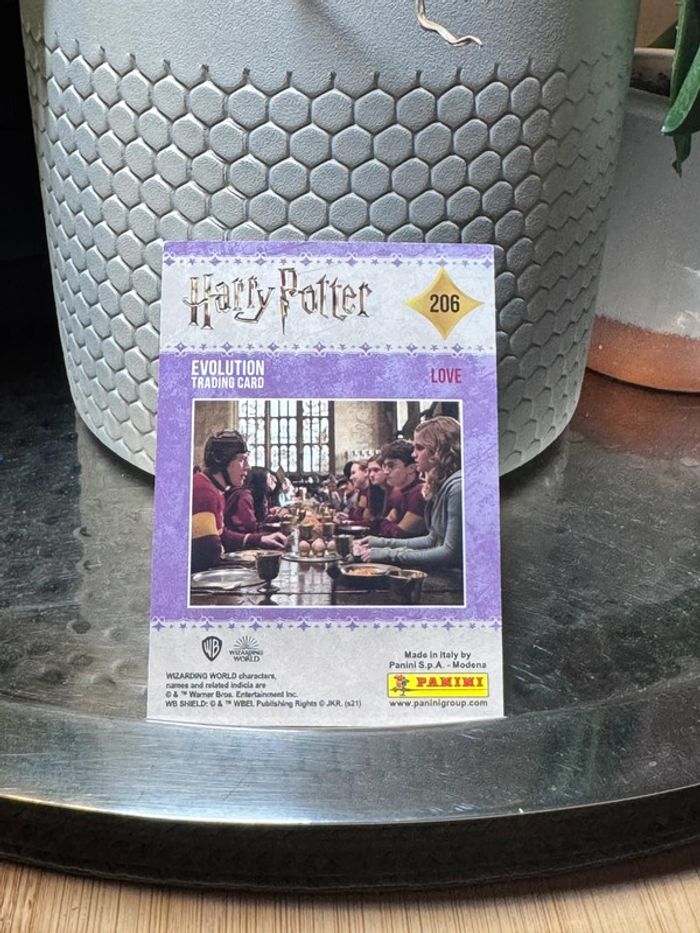 Carte Silver Harry Potter évolution trading panini - photo numéro 2