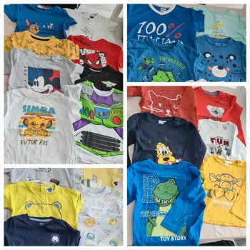 Lot tshirts enfant taille 2 ans (33 articles)