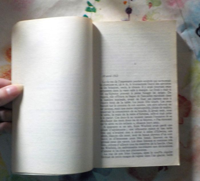 UN SI GRAND AMOUR de Danielle STEEL Ed. Pocket - photo numéro 6