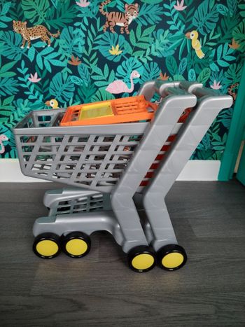 Lot de 2 Caddies/ Chariots de courses Klein