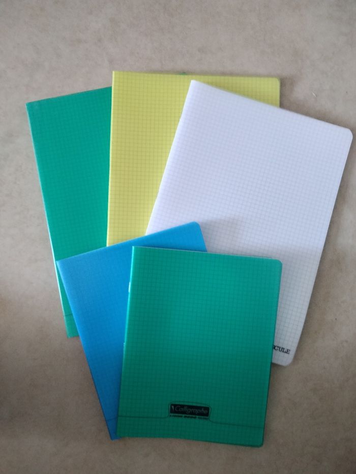 Cahier petit carreaux