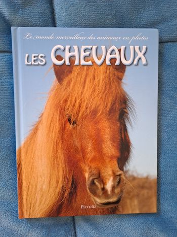 Les chevaux