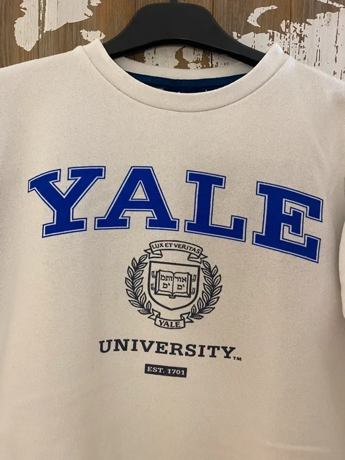 sweat Vertbaudet Yale University - Taille 12 ans - photo numéro 4