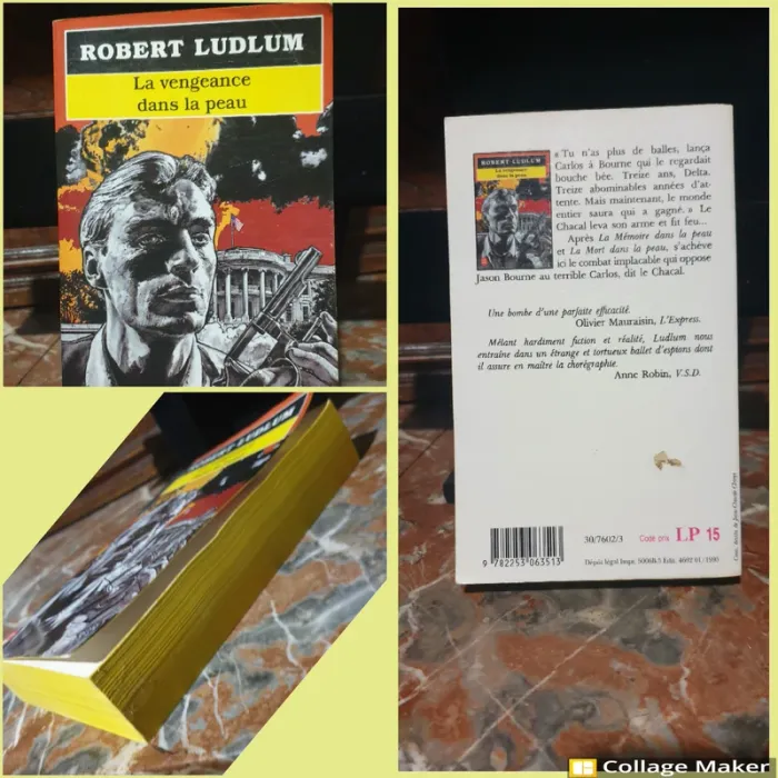 📚 Robert Ludlum - 9 romans 📚 - photo numéro 4