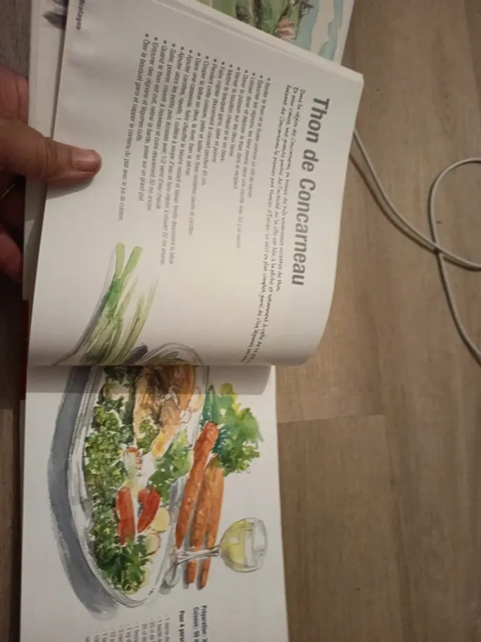 Les meilleures recettes de nos terroirs - photo numéro 2