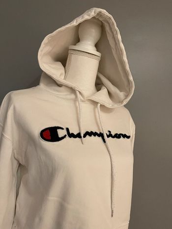 Sweet court Champion 34