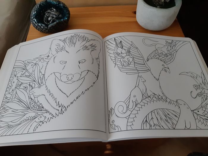 Livre de coloriage Incroyable Bestiaire Harmonie Solar - photo numéro 3