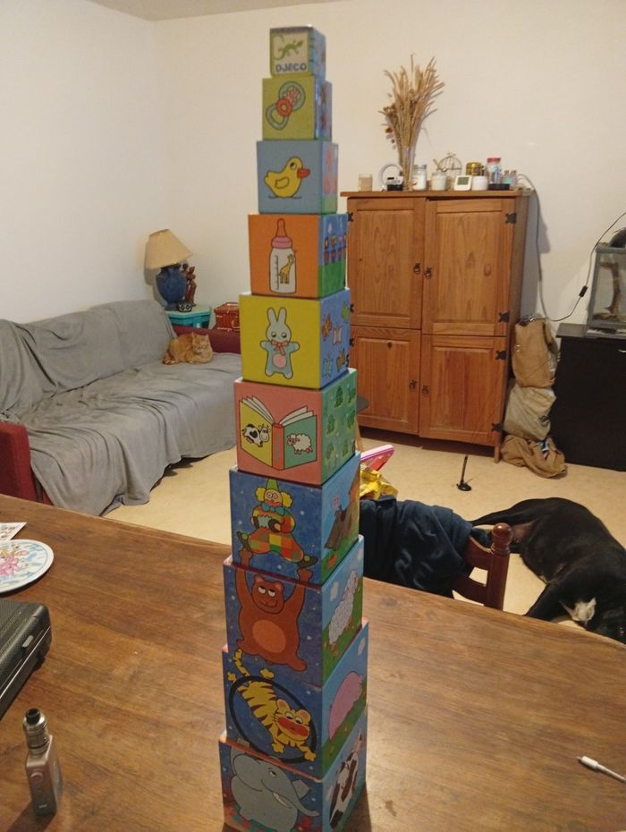 Cube a empiler marque djeco