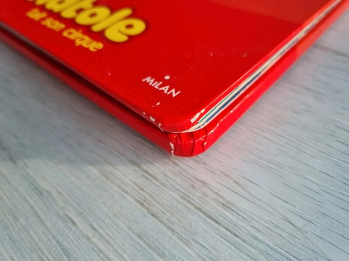 Livre musical anatole fait son cirque - photo numéro 5