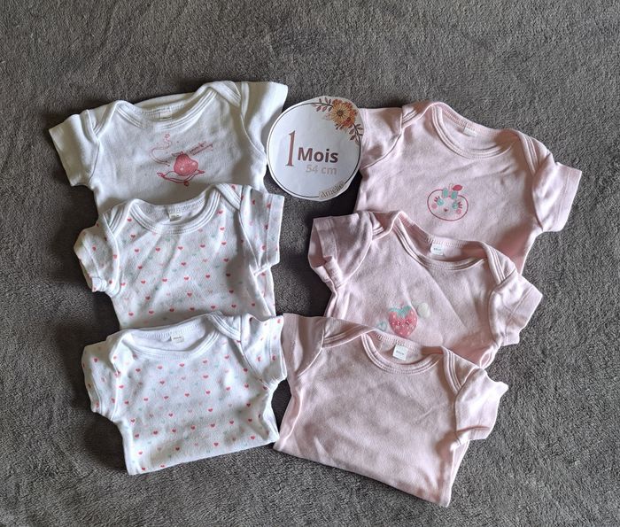 Lot 6 bodies manche courtes
