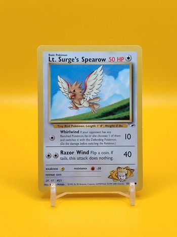 Pokémon Piafabec Surge's Spearow bloc wizards gym heroes