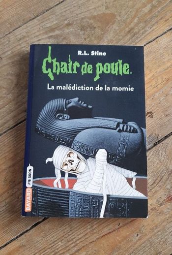 Chair de poule - la malédiction de la momie