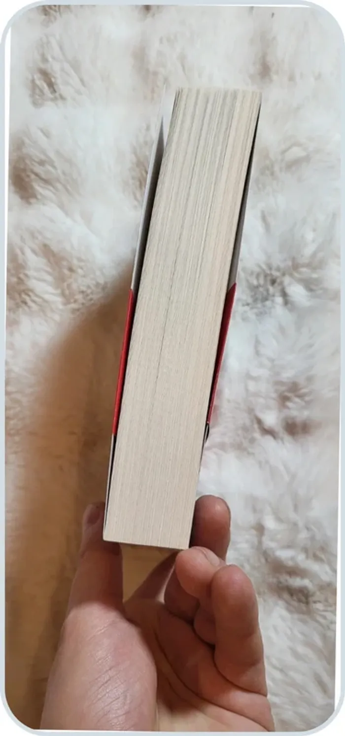 Livre "Nos Étoiles Perdues" - Anna Todd - photo numéro 4