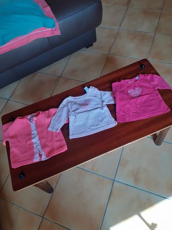 Lot de un gilet + 2 tee- shirts fille 1 mois