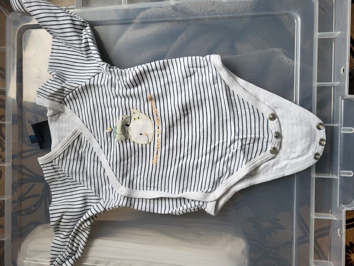 Lot de bodies 6 mois - photo numéro 5