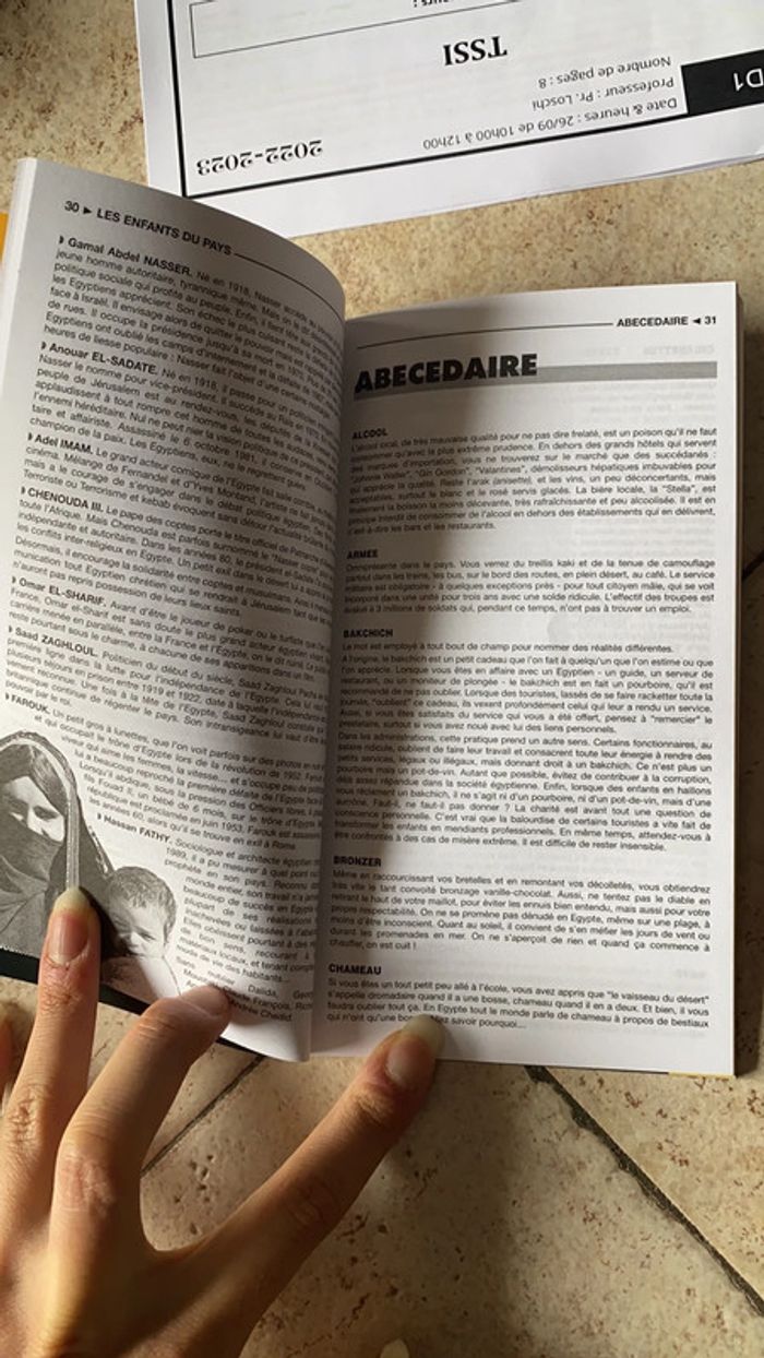 Guide de voyage touristique Égypte - photo numéro 2