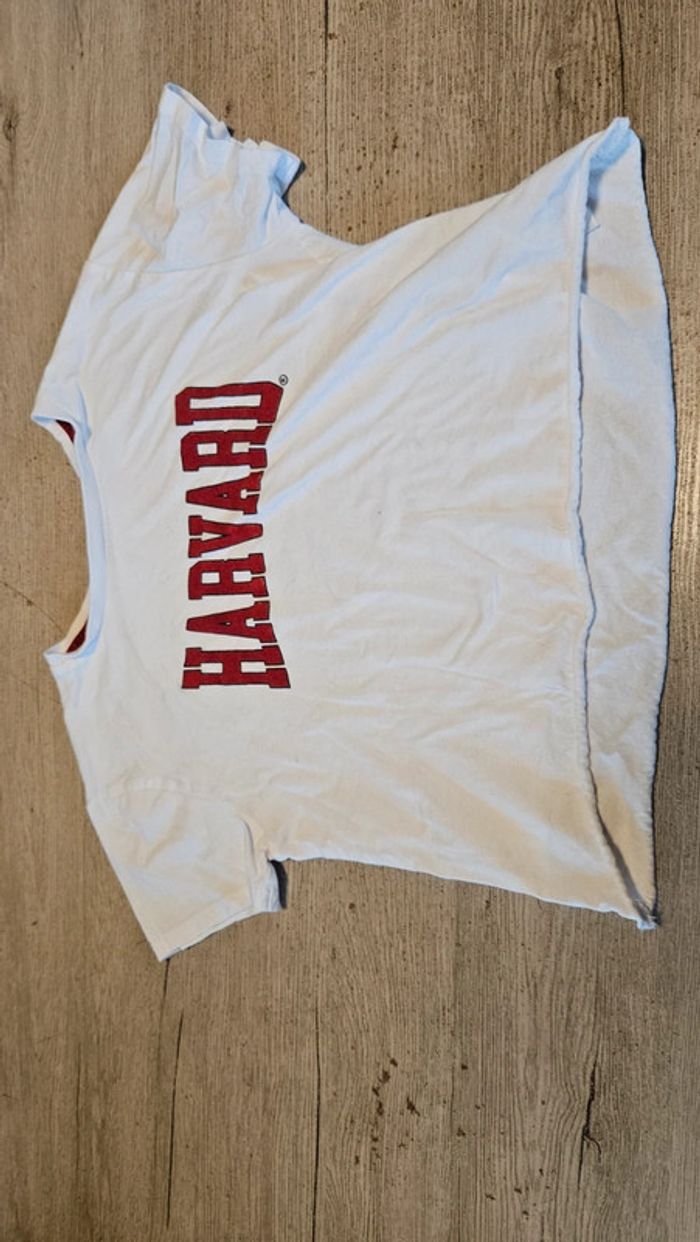 Croc top large, blanc, à manches courtes, Harvard University, taille 12 ans, nickel - photo numéro 4
